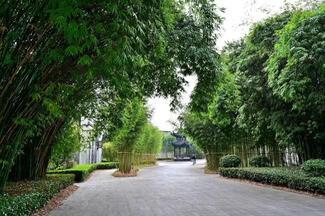 白云邊連續五年榮登旅行社服務網點旅游招徠正面清單，彰顯卓越服務品質